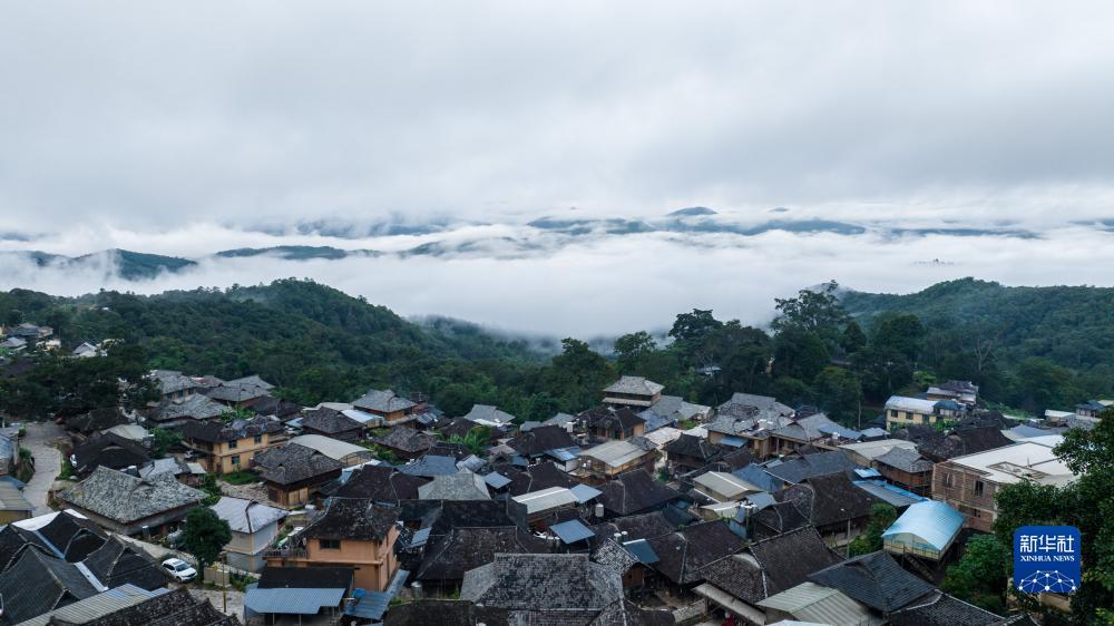 线上美高梅官方